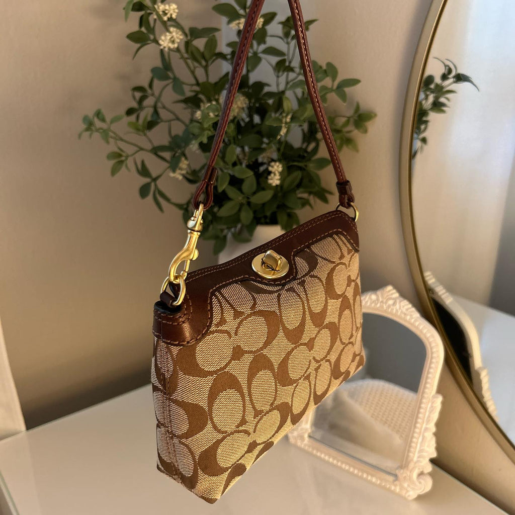 coach brown vintage bag