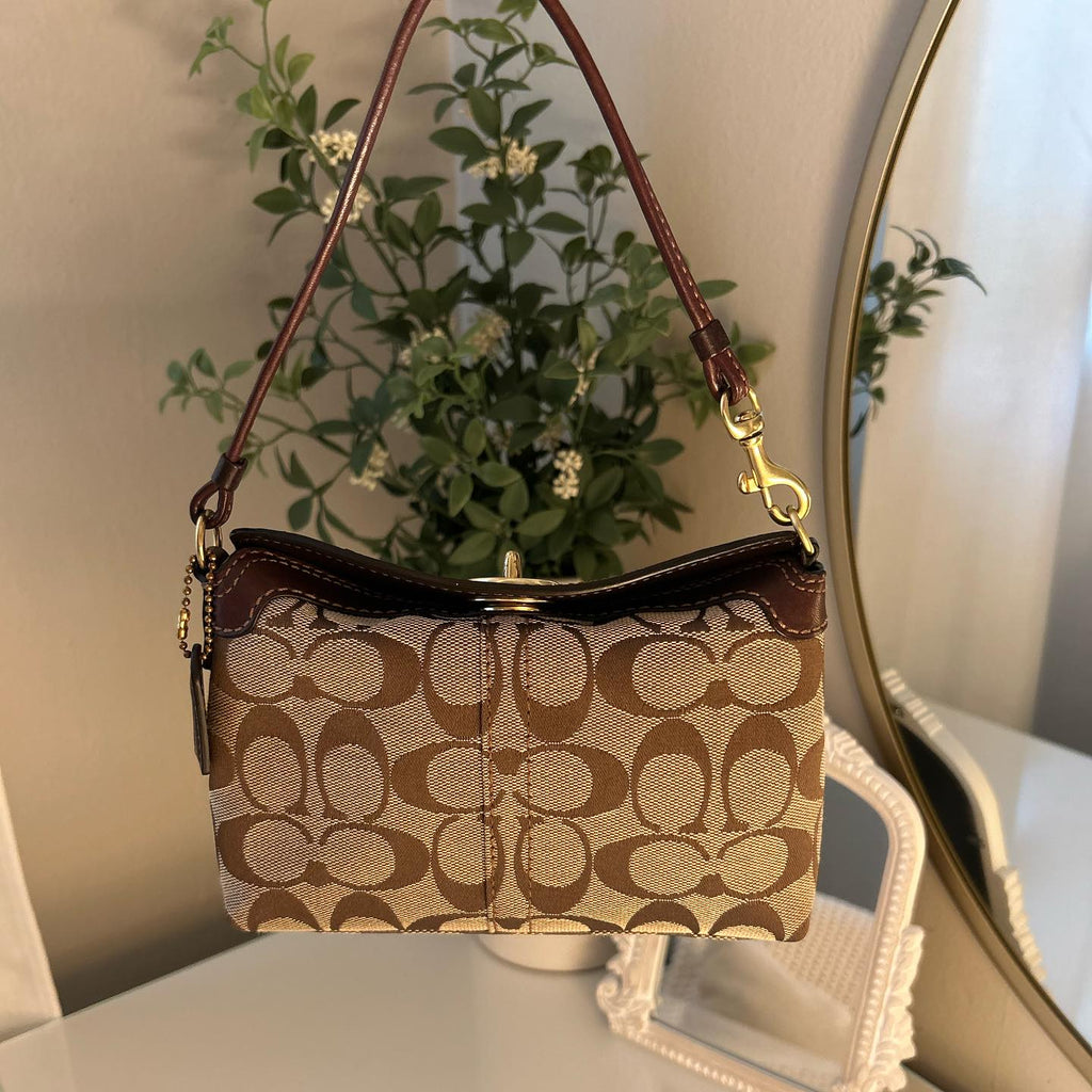 coach brown vintage bag